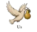 Dove & Pear - Bio