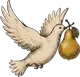 Dove & Pear - Bio